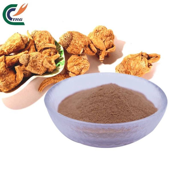 Reishi Extract Factory - Ganoderma 30% Beta