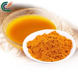 Curcumin Powder Manufacturer - Organic Longa L.