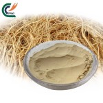 Milk Thistle Extract Supplier - Silymarin Marianum