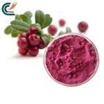 Mangosteen Powder Supplier - Peel Extract 10:1