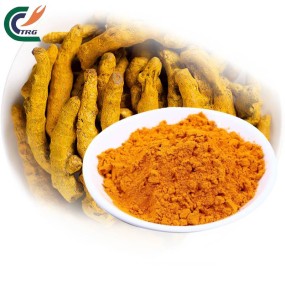 Turmeric Root Powder Factory - 95% Curcumin Organic