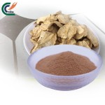 Horny Goat Weed Supplier - Icariin 20%-90%