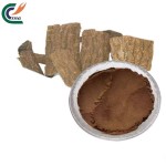 Eucommia Bark Extract Manufacturer - Chlorogenic Acid