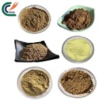 Epimedium Powder Manufacturer - Brevicornum Extract