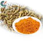 Turmeric Root Powder Factory - 95% Curcumin Organic