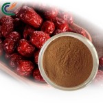 Eucommia Extract Factory - Folium Overall Health