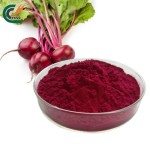 Lions Mane Powder Supplier - Organic Erinaceus