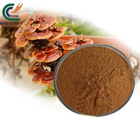 Saffron Extract Factory - Crocus Sativus Top