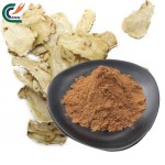 Eucommia Extract Supplier - Ulmoides Bark Cortex