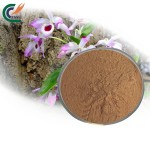 Eucommia Extract Manufacturer - 20:1 Cortex Powder