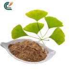 Ginkgo Biloba Extract Factory - Leaf Antioxidant
