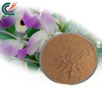 Eucommia Extract Manufacturer - 20:1 Cortex Powder