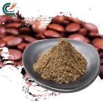Panax Ginseng Manufacturer - 99% Extract Powder