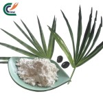 Saw Palmetto Powder Manufacturer - Bulk Wholesale
