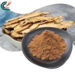 Eucommia Extract Supplier - Ulmoides Bark Cortex
