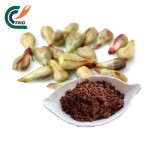 Coconut Powder Manufacturer - Desiccated for Baking
