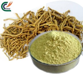 Jujube Powder Manufacturer - Red Date Fruit Juice