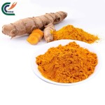 Feed Grade Curcumin Supplier - 5% Turmeric Root