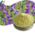 Jujube Powder Manufacturer - Red Date Fruit Juice