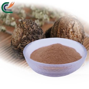 Reishi Extract Factory - 10%-40% Polysaccharide