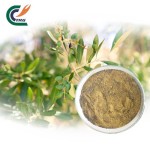 Glucomannan Powder Factory - Orchid Extract Food