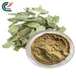 Epimedium Extract Supplier - 10:1 20:1 Powder