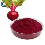 Epimedium Powder Supplier - Horny Goat Weed 98%