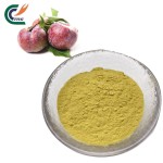 Kakadu Plum Powder Manufacturer - 100% Natural