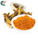 Curcumin Powder Manufacturer - Pure Turmeric Extract