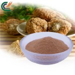 Reishi Extract Factory - 10%-40% Polysaccharide