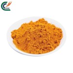 Turmeric Powder Manufacturer - Natural Organic Raw