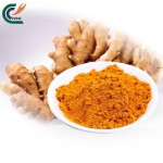 Turmeric Powder Manufacturer - Natural Organic Raw