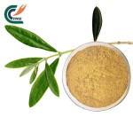 Rhodiola Extract Supplier - 1% Salidroside Rose