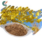 Ginkgo Biloba Extract Factory - Leaf Antioxidant
