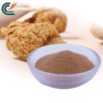 Grape Seed Extract Manufacturer - OPC 95% Antioxidant