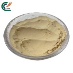 Eucommia Leaf Powder Factory - Natural Plant Extract