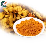 Turmeric Root Extract Factory - 95% Curcumin Natural