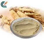 Milk Thistle Extract Supplier - Silymarin Marianum