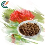 Eucommia Bark Powder Supplier - Ulmoides Food Grade