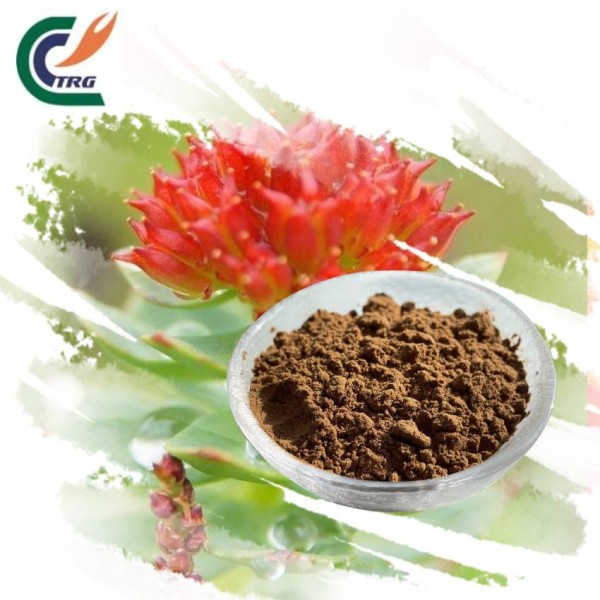 Eucommia Bark Powder Supplier - Ulmoides Food Grade