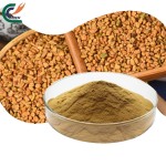 Lions Mane Extract Factory - Hericium Polysaccharide