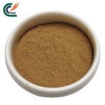 Grape Seed Extract Factory - 95% Proanthocyanidins
