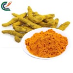 Turmeric Extract Supplier - Organic Curcumin Powder