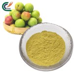 Kakadu Plum Powder Manufacturer - 100% Natural