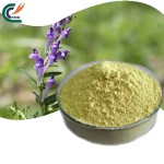 Jujube Powder Manufacturer - Red Date Fruit Juice