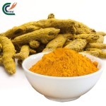 Curcumin Extract Factory - 5%-98% Curcuma Long