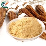 Cranberry Extract Factory - Blushwood Berry Powder