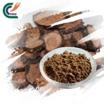 Eucommia Bark Powder Supplier - Ulmoides Food Grade