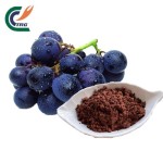 Coconut Powder Manufacturer - Desiccated for Baking
