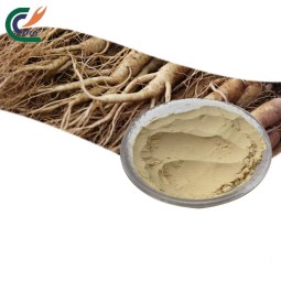 Eucommia Leaf Powder Factory - Natural Plant Extract
